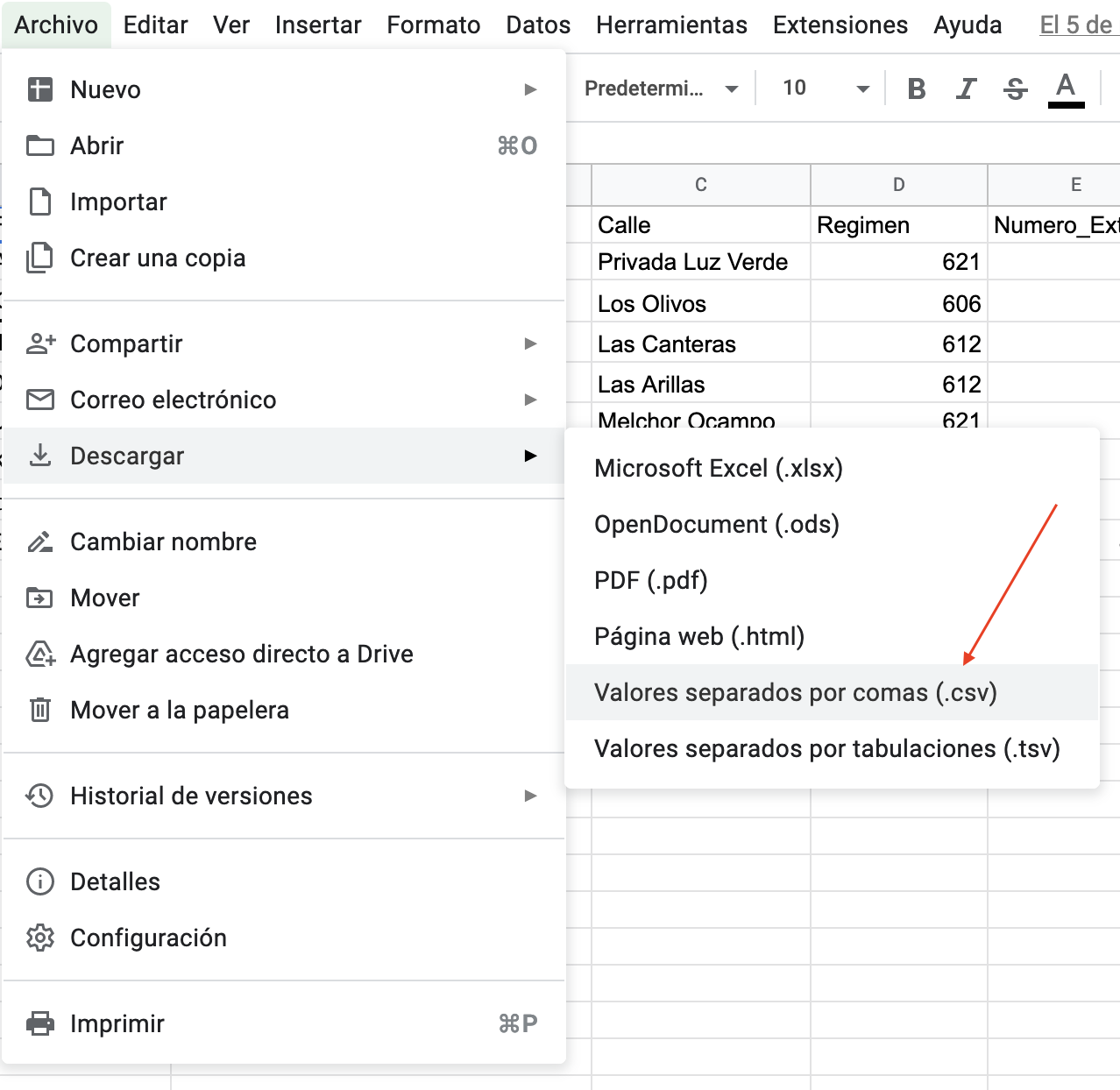 Vista del archivo guardado en CSV